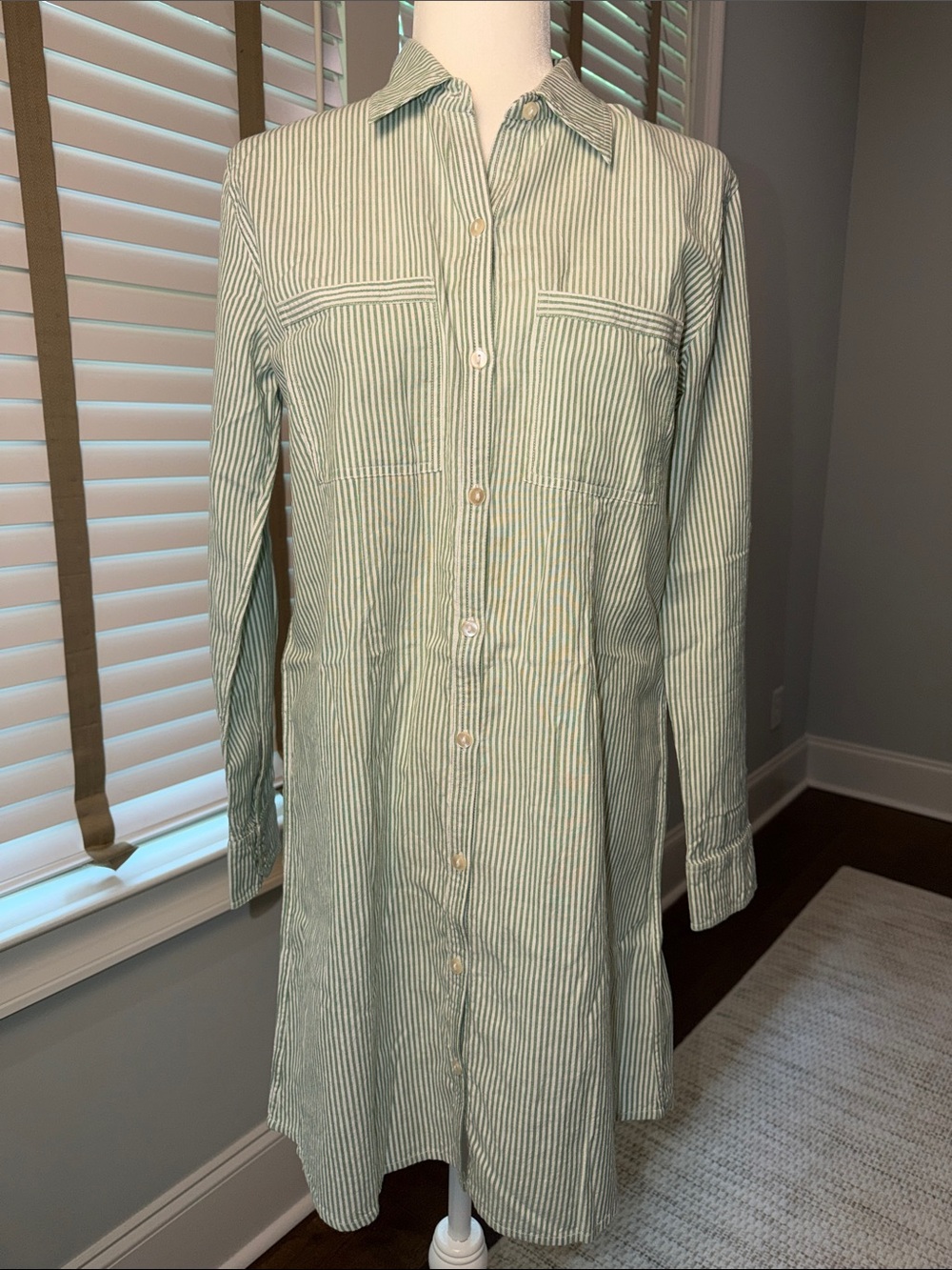 NWT Roller Rabbit Green and White Striped Long Sleeve Shirt Dress. Size Small.